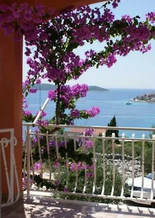Villa Josipa - *
